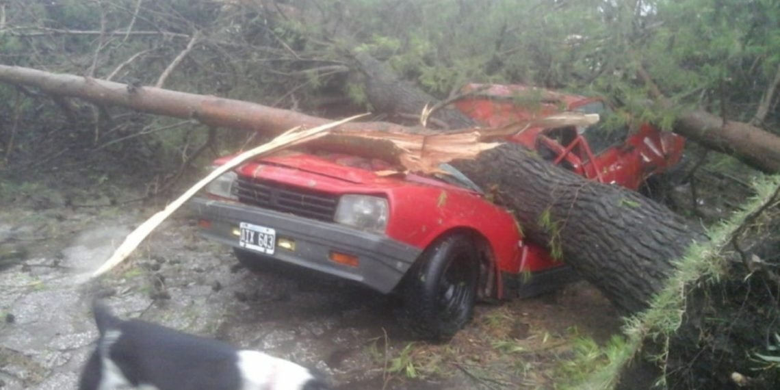 Casi 120 casas afectadas, el tremendo saldo del temporal sin precedentes que sacudió esta semana a la zona