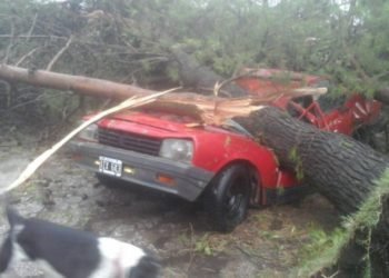 Casi 120 casas afectadas, el tremendo saldo del temporal sin precedentes que sacudió esta semana a la zona