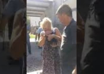 Trabajaron dos horas para rescatar un perro que se había metido en el caño de desagüe