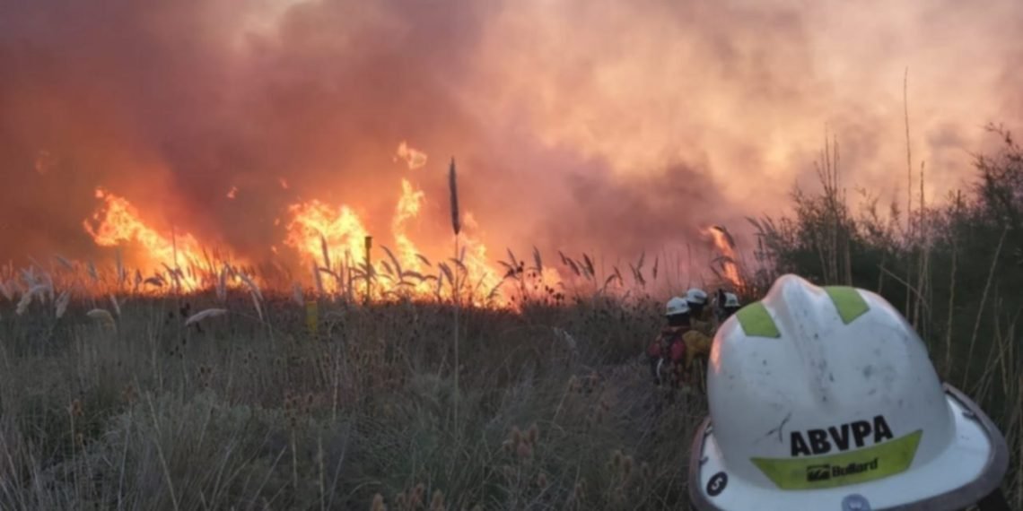 Confirman que el incendio entre Punta Alta y White fue intencional