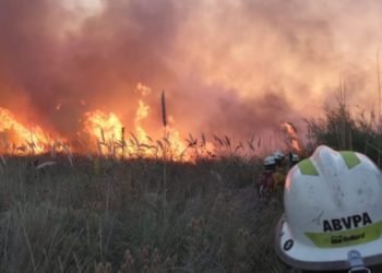 Confirman que el incendio entre Punta Alta y White fue intencional