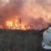 Confirman que el incendio entre Punta Alta y White fue intencional