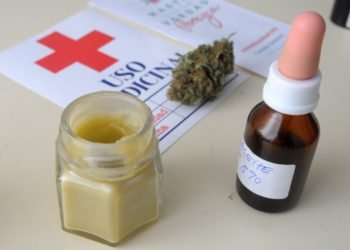 Cannabis medicinal: cuánto cuesta y cómo se puede hacer un análisis en Bahía