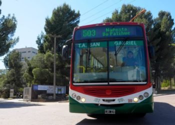 Cómo funcionará el servicio especial para trabajadores de la salud
