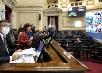 En la próxima sesión virtual del Senado debatirán sobre el pago de ganancias del personal de la Salud, entre otros puntos