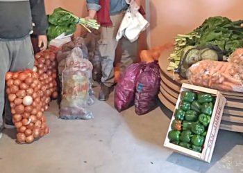 Se suma un nuevo “bolsón de mercadería” a la distribución en San Rafael