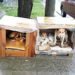 Piden materiales para realizar cuchas comunitarias para los perros de la calle