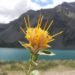Fortalecen el vivero provincial y enseñan sobre especies nativas a alumnos