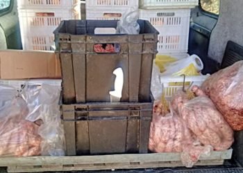 Decomisaron carne que era transportada sin cadena de frío