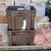 Decomisaron carne que era transportada sin cadena de frío