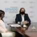 El Senado terminó de conformar sus comisiones