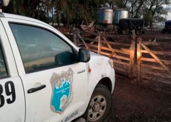 Se labraron diversas infracciones al Código Rural