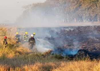 Los Bomberos Voluntarios combatieron un incendio de pastizales