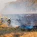 Los Bomberos Voluntarios combatieron un incendio de pastizales