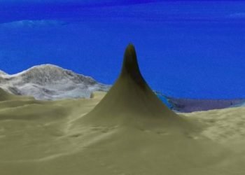 Descubren un arrecife coralino de 500 metros