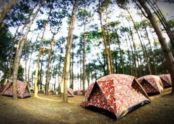 Verano en la Provincia: mirá cuando abren los campings