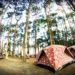 Verano en la Provincia: mirá cuando abren los campings