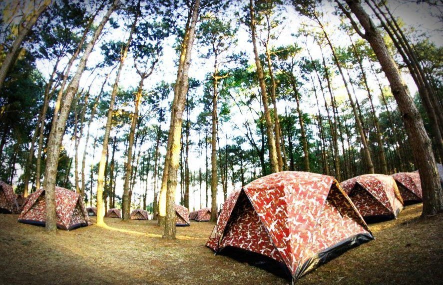 Verano en la Provincia: mirá cuando abren los campings