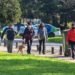 Pronóstico del tiempo para el miércoles 11 de noviembre