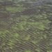 Agua verde en Ensenada: imágenes de la invasión de algas