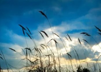 Alerta meteorológico por vientos fuertes en el sudoeste