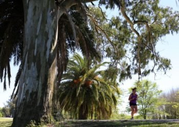 Pronóstico: cómo estará el tiempo este jueves 3 de diciembre