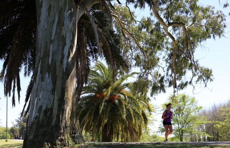 Pronóstico: cómo estará el tiempo este jueves 3 de diciembre