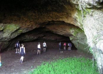 Murciélagos bonaerenses: piden conservar una cueva histórica