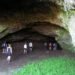 Murciélagos bonaerenses: piden conservar una cueva histórica