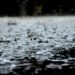 Temporal y alerta amarillo: hubo ráfagas de 87 km por hora