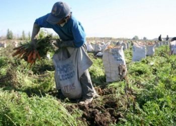 Denuncian que la mayoría de trabajadores rurales quedó excluida del bono acordado por la UATRE