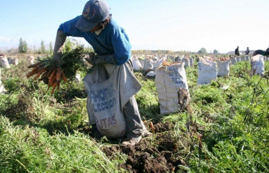Denuncian que la mayoría de trabajadores rurales quedó excluida del bono acordado por la UATRE
