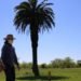 Pronóstico: cómo estará el tiempo del 18 al 22 de enero