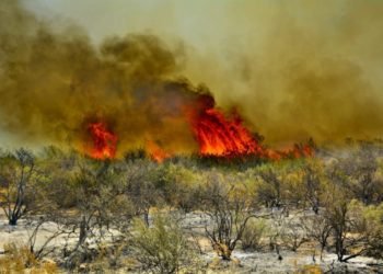 Incendios forestales: situación «explosiva» en la Provincia