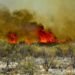 Incendios forestales: situación «explosiva» en la Provincia
