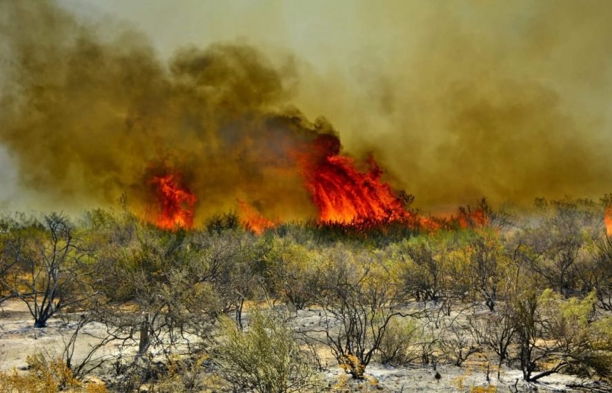 Incendios forestales: situación «explosiva» en la Provincia