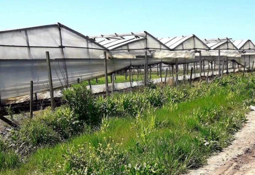 Terrible: entraron a robar en una quinta en La Plata y violaron dos veces a una chica de 14 años
