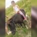 Desesperada búsqueda de una familia a la que le robaron dos ponis en Ensenada