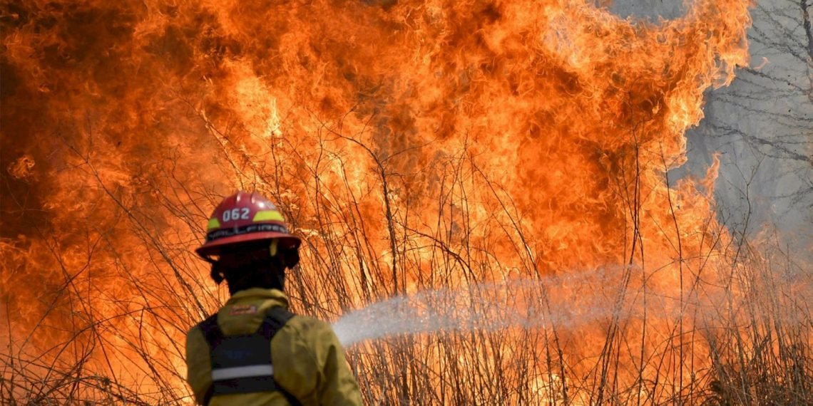 Los incendios forestales devastaron una superficie que equivale a 436 veces la ciudad de La Plata