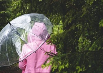 Pronóstico para el fin de semana del 13 y 14 de febrero