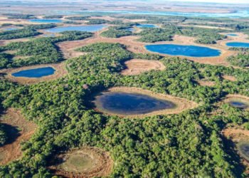 Día de los Humedales: la importancia de su conservación