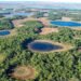 Día de los Humedales: la importancia de su conservación