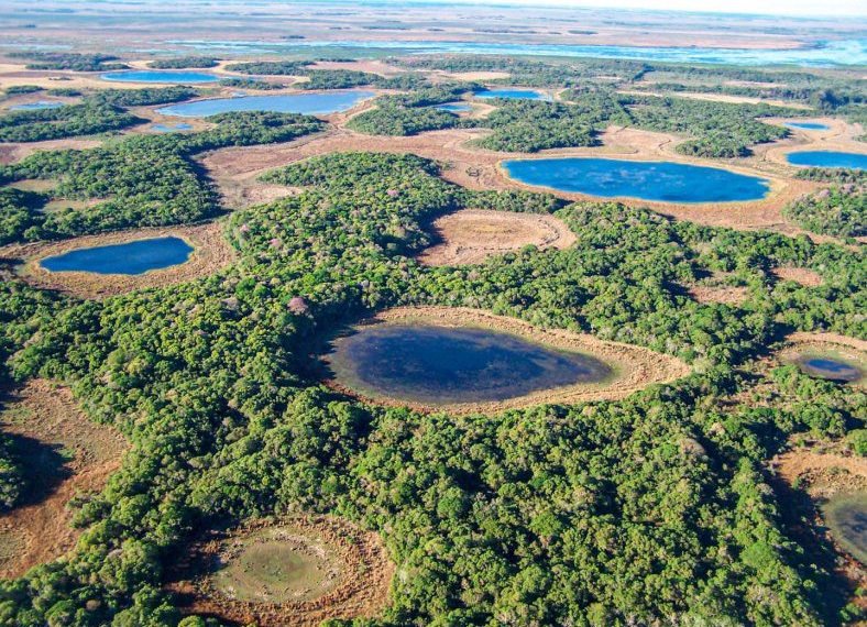 Día de los Humedales: la importancia de su conservación