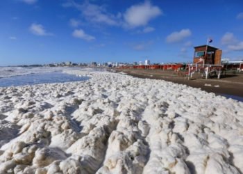 Espuma en Mar del Plata: la explicación científica