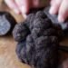 La producción Argentina de trufas comenzó a expandirse en el mercado internacional
