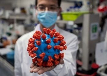 En 24 distritos bonaerenses hay circulación comunitaria de las cepas de Manaos y Británica