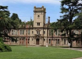 De Campana a Rusia: se exportaron las primeras frutas cítricas del año al país transcontinental