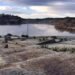 En territorio bonaerense se dispone “vacunación libre” para mayores de 55 años