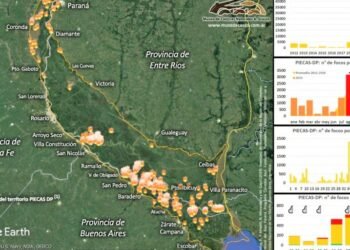 En los últimos siete días se contabilizaron más de 2300 focos de incendios en islas del Delta