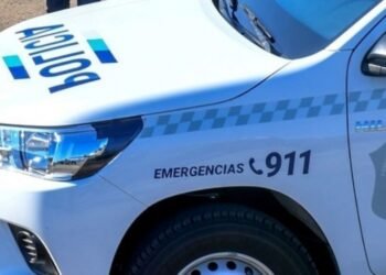 Aerolíneas Argentinas no transportará más “trofeos de caza” en sus vuelos